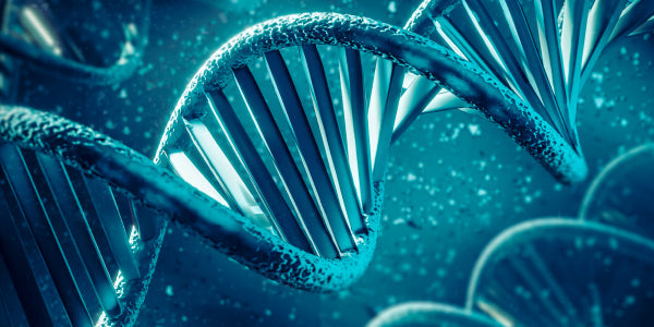 DNA er overalt